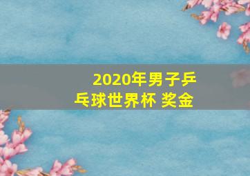 2020年男子乒乓球世界杯 奖金